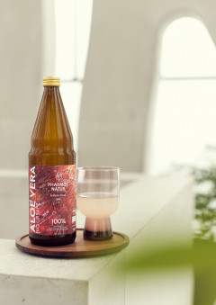 Aloe Vera Bio Ursaft Kurpackung 0